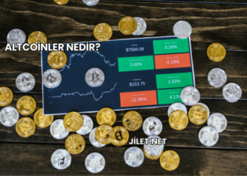 Altcoinler Nedir?