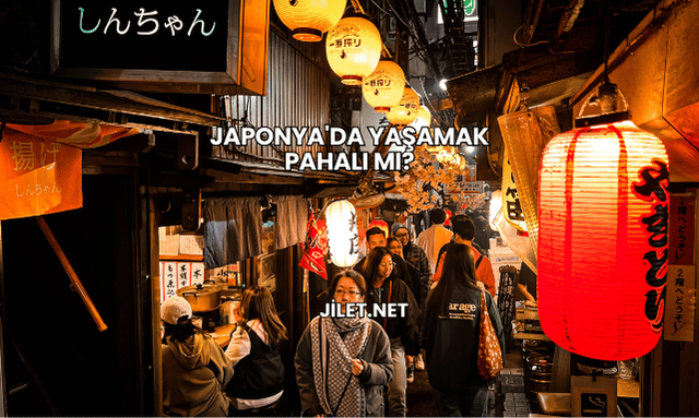 Japonya'da Yaşamak Pahalı mı?