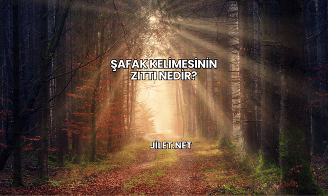 Şafak Kelimesinin Zıttı Nedir?