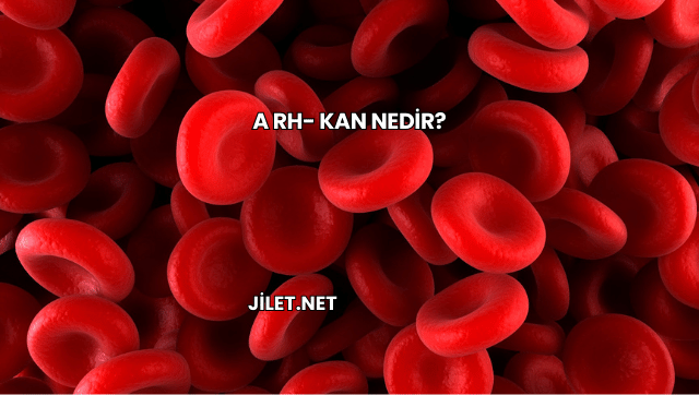 A Rh- Kan Nedir?