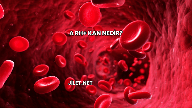 A Rh+ Kan Nedir?