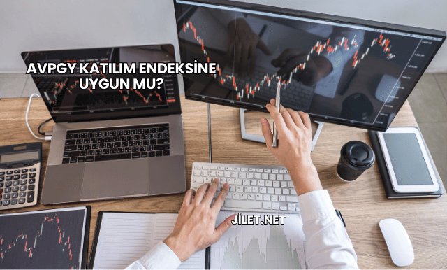 AVPGY Katılım Endeksine Uygun mu?