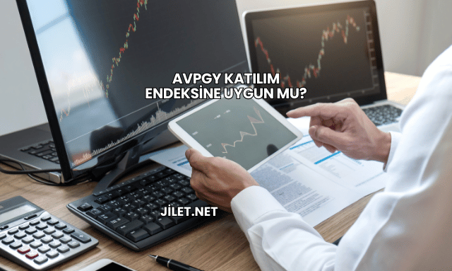 AVPGY Katılım Endeksine Uygun mu?