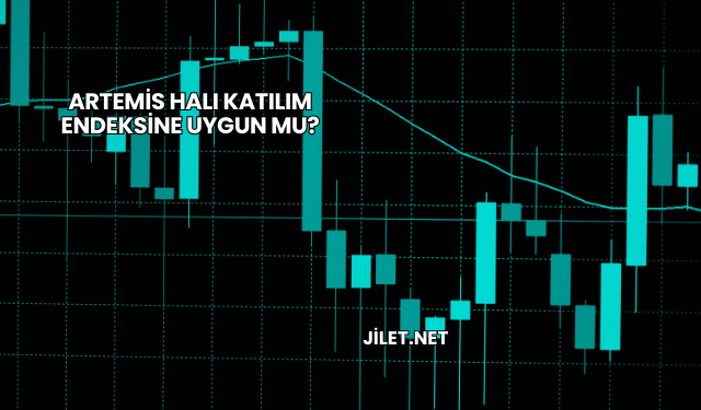 Artemis Halı Katılım Endeksine Uygun mu?