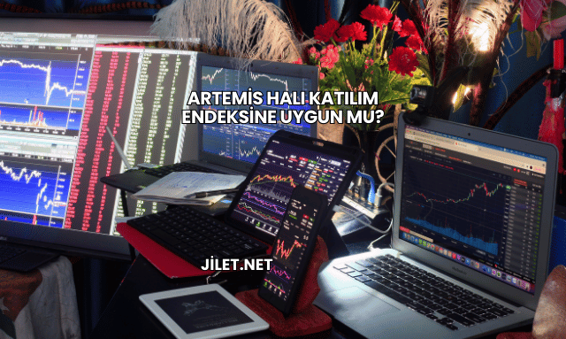 Artemis Halı Katılım Endeksine Uygun mu?