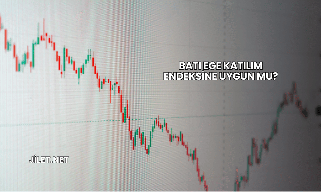 Batı Ege Katılım Endeksine Uygun mu?
