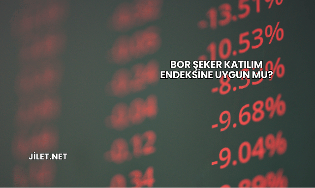 Bor Şeker Katılım Endeksine Uygun mu?