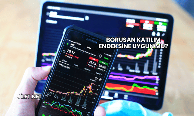 Borusan Katılım Endeksine Uygun mu?