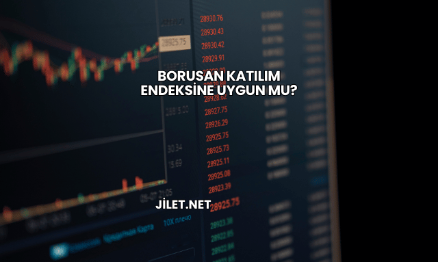 Borusan Katılım Endeksine Uygun mu?