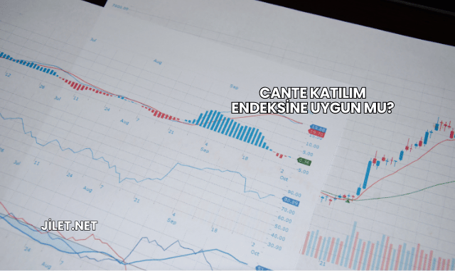 CANTE Katılım Endeksine Uygun mu?