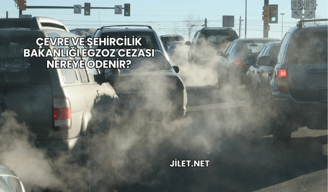 Çevre ve Şehircilik Bakanlığı Egzoz Cezası Nereye Ödenir?
