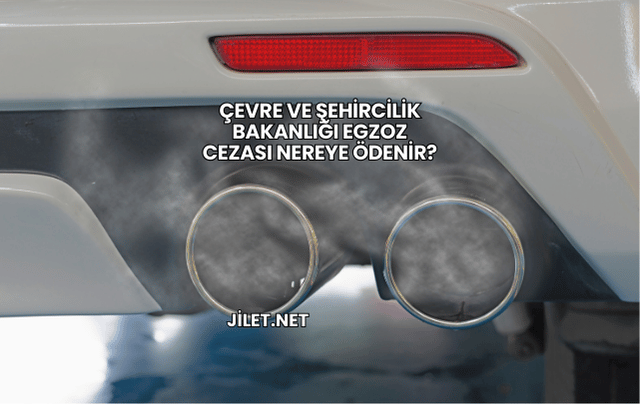 Çevre ve Şehircilik Bakanlığı Egzoz Cezası Nereye Ödenir?