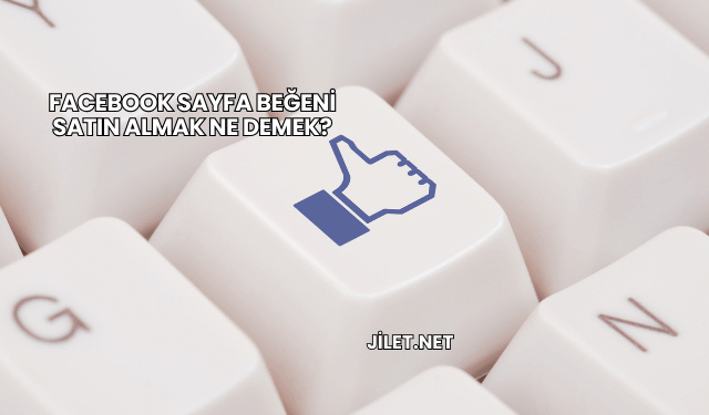 Facebook Sayfa Beğeni Satın Almak Ne Demek?
