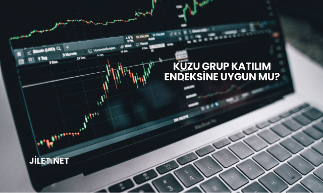 Kuzu Grup Katılım Endeksine Uygun mu?