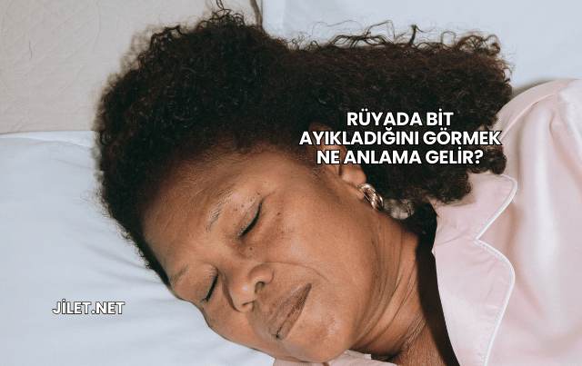 Rüyada Bit Ayıkladığını Görmek Ne Anlama Gelir?