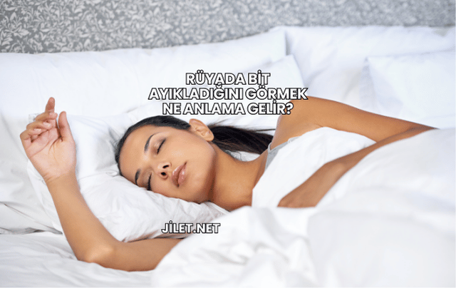 Rüyada Bit Ayıkladığını Görmek Ne Anlama Gelir?