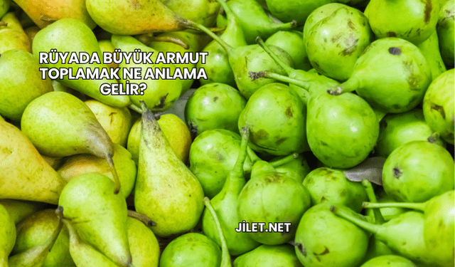 Rüyada Büyük Armut Toplamak Ne Anlama Gelir?