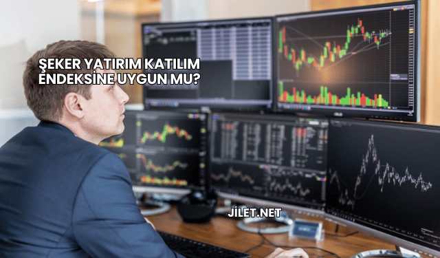 Şeker Yatırım Katılım Endeksine Uygun mu?