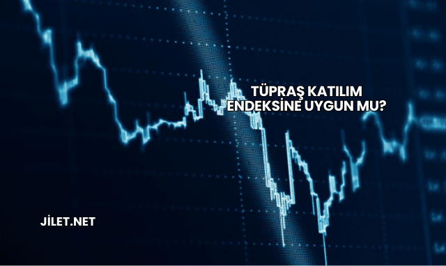Tüpraş Katılım Endeksine Uygun mu?
