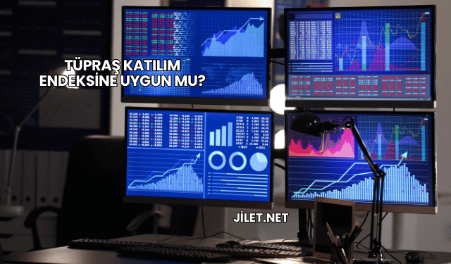 Tüpraş Katılım Endeksine Uygun mu?