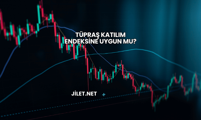Tüpraş Katılım Endeksine Uygun mu?