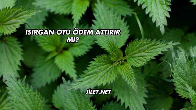 Isırgan Otu Ödem Attırır mı?